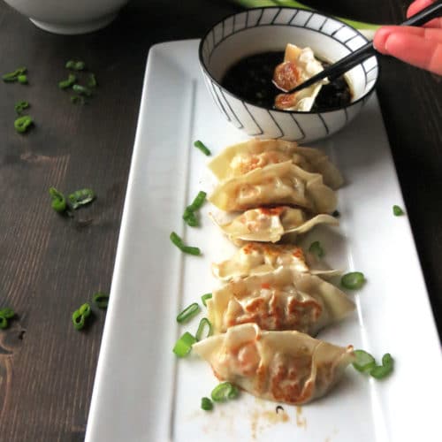 Homemade Gyoza Recipe (Best Gyoza Dipping Sauce) Cooks with Cocktails