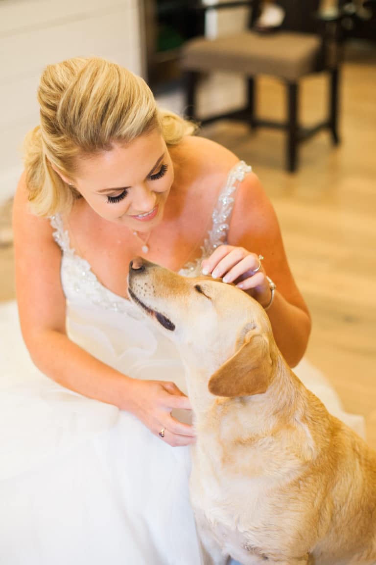 We’re Back & a Wedding!